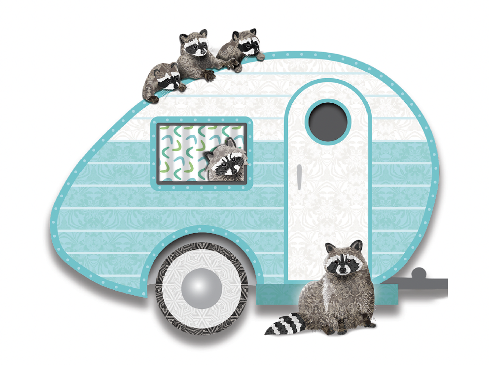 Camper Raccoons