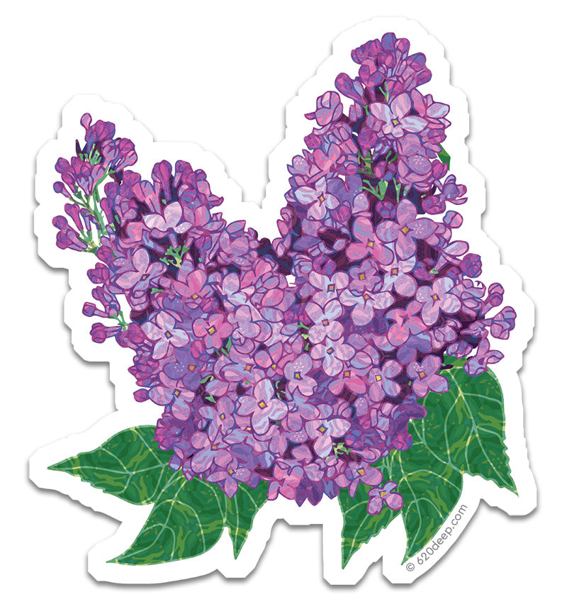 Lilacs